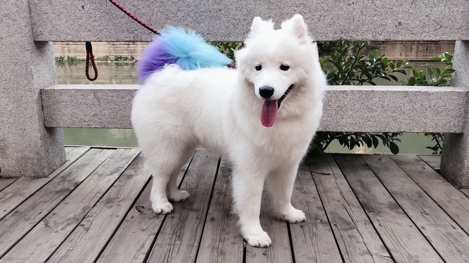 Kaiyun官方登录入口-_野外探险越野赛：探索未知，挑战极限_，越野冒险