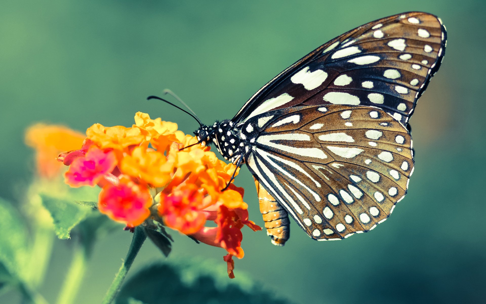 开云入口-_野外生存挑战赛：运动与自然的极限考验_，野外生存大挑战全集