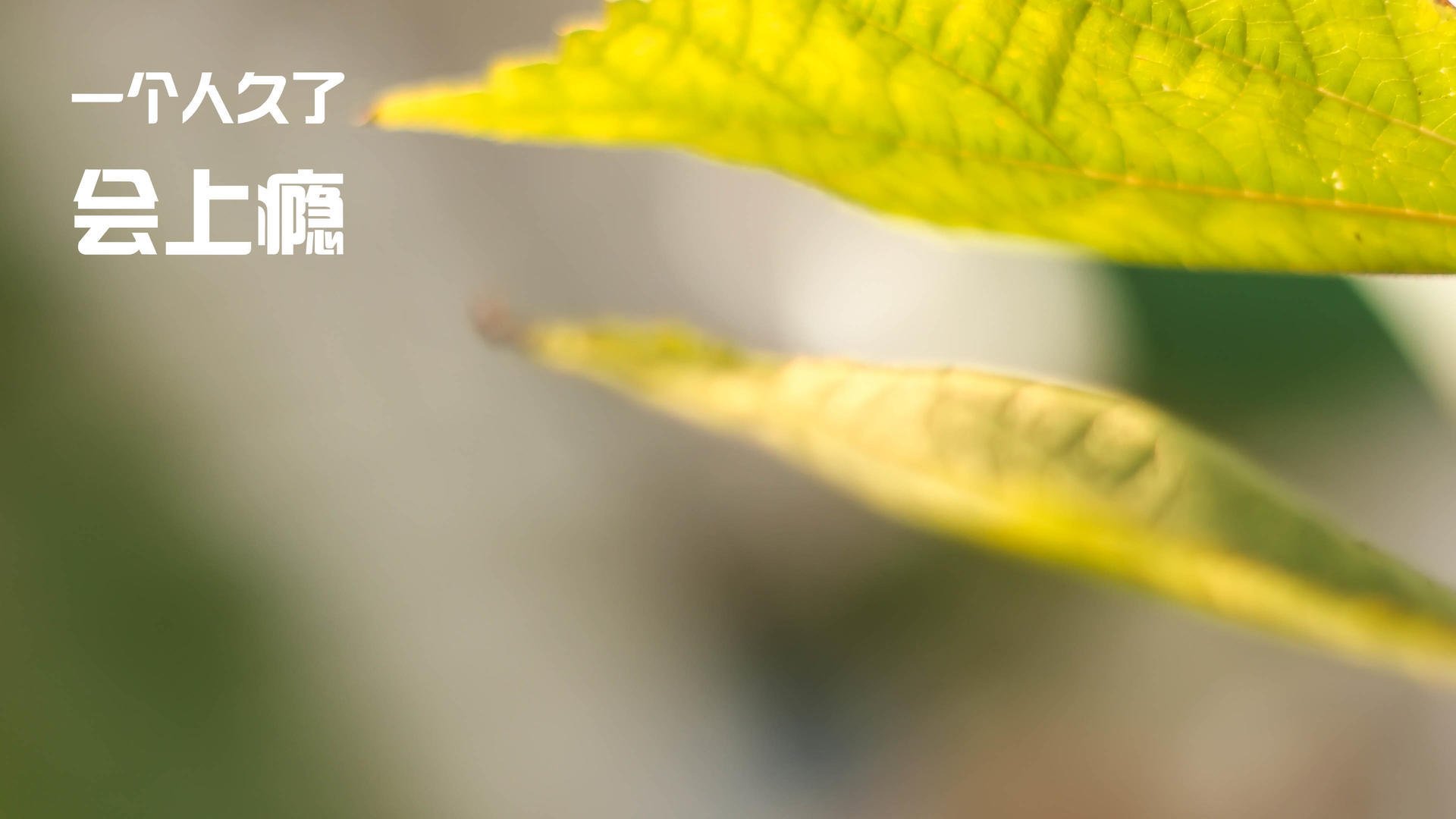 开云首页登录-【比赛战报】顶级运动员在大赛中的攻守策略一览，运动员的四大比赛能力